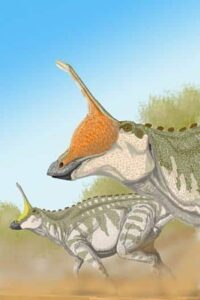 Tsintaosaurus La Licorne Préhistorique